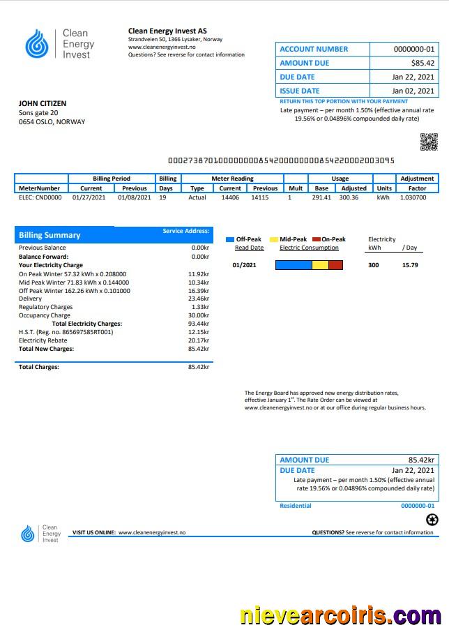 Norway Clean Energy Invest AS utility bill good for address prove